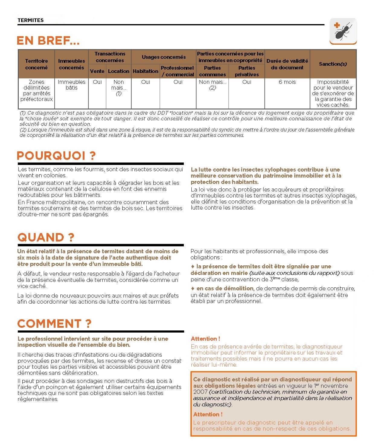 Tout sur les termites en immobilier